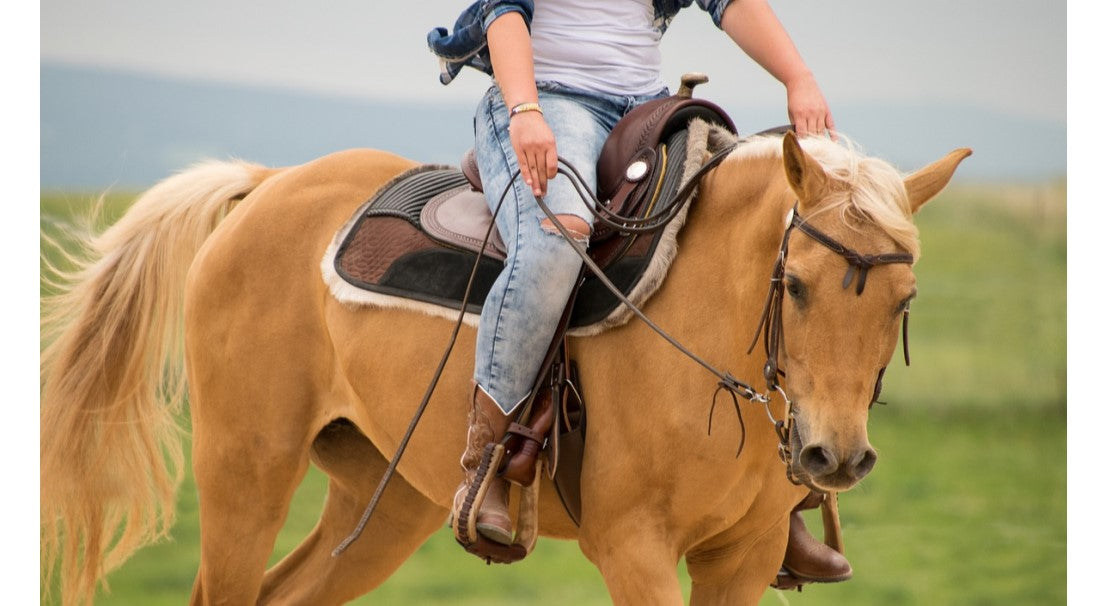 Are Saddles One Size Fits All? BlackJack Horse Saddles