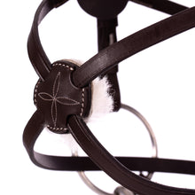 Load image into Gallery viewer, Equinavia Saga Fancy Stitched Figure 8 Bridle & Reins - Chocolate Brown E10008