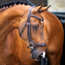 Load image into Gallery viewer, Shires Lusso Ergonomic Curved Flash Bridle 51003
