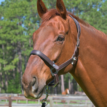 Load image into Gallery viewer, CorrectConnect Leather Magna Halter