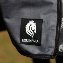 Load image into Gallery viewer, Equinavia Arktis Regular Neck Mid Weight Turnout Blanket 200g - Carbon Gray E24018