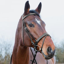 Load image into Gallery viewer, Equinavia Horze Venice Soft Padded Bridle w/ Reins - Black 10045