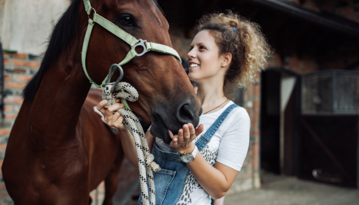 Western Saddle Types