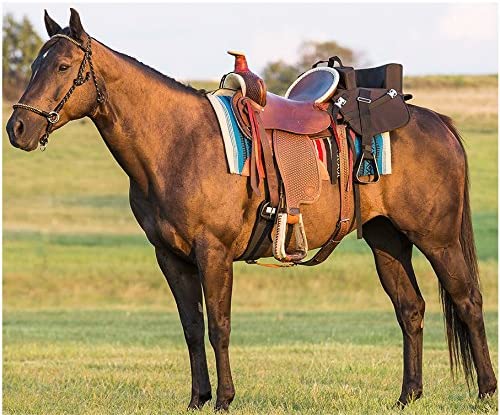 Saddle Fitting for Beginners