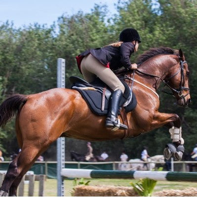Choosing a saddle that is correct for your horse and you.