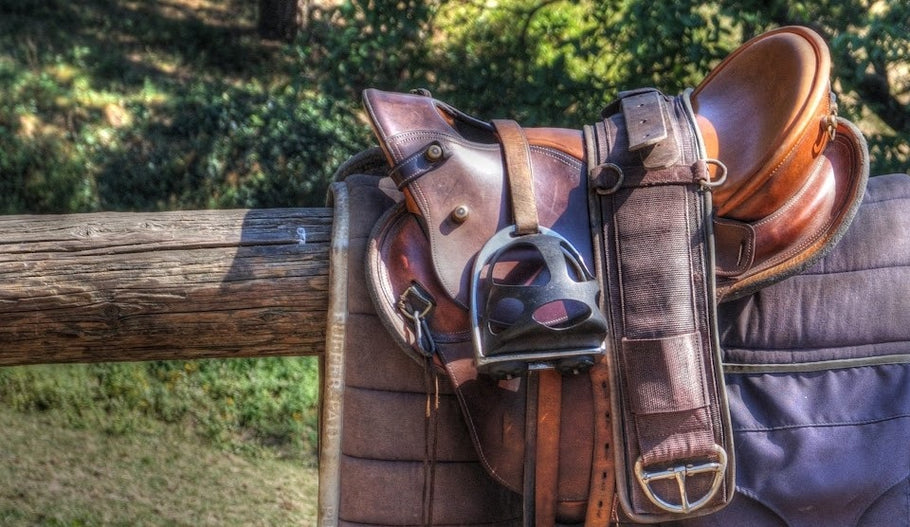 Western saddles - are they better for the horse?