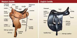 Differences between Western and English Saddles