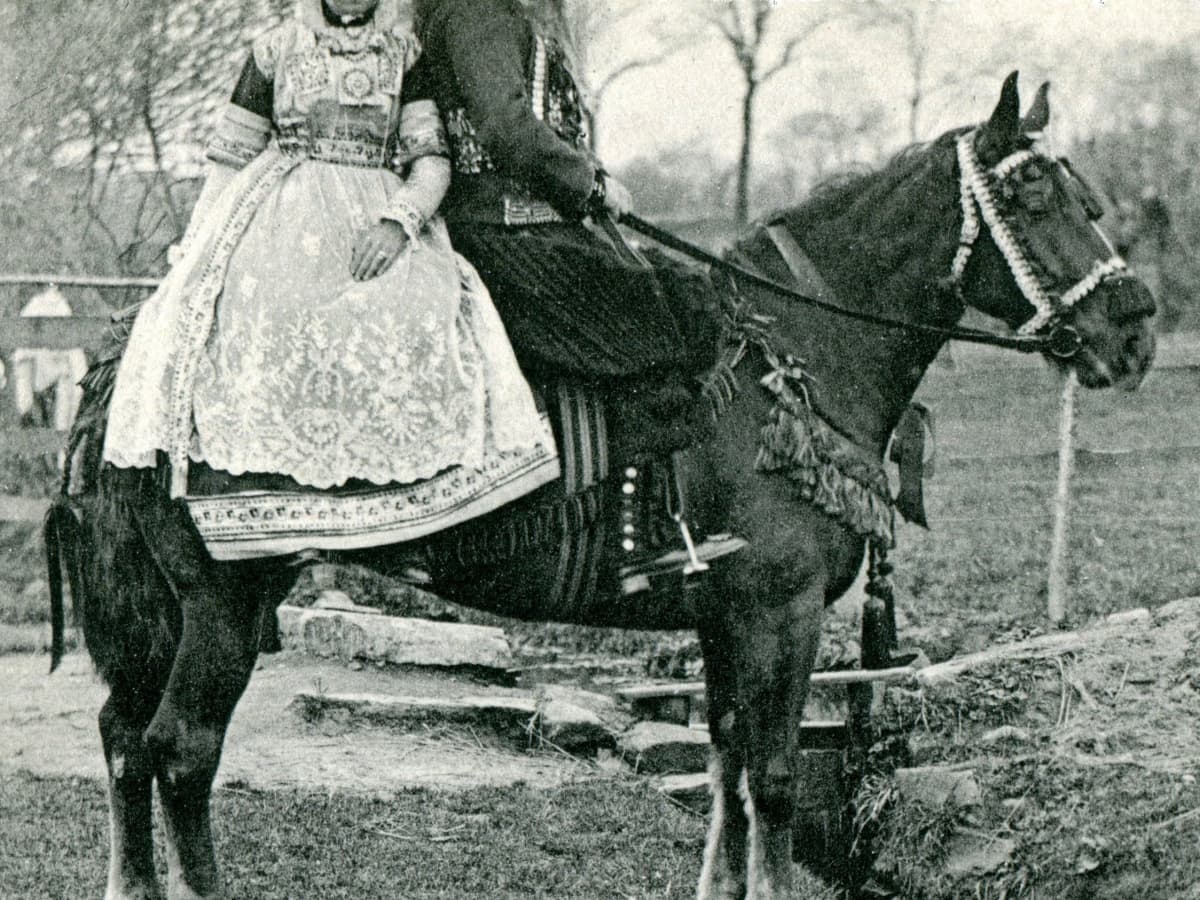 When Were Horse Saddles First Used? BlackJack Horse Saddles