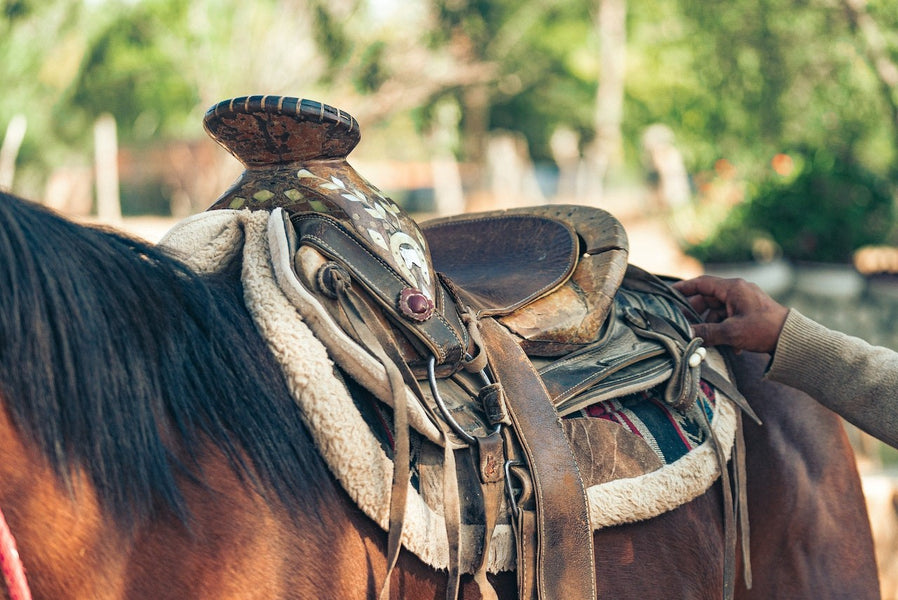 Types of saddles: just how many are there?