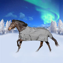 Load image into Gallery viewer, Equinavia Arktis Regular Neck Mid Weight Turnout Blanket 200g - Carbon Gray E24018