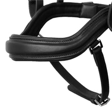 Load image into Gallery viewer, Equinavia Horze Highbury Anatomical Crystal Dressage Bridle 10154