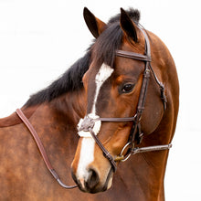 Load image into Gallery viewer, Equinavia Valkyrie Fancy Stitched Figure 8 Bridle &amp; Reins - Chocolate Brown E10002