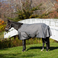 Load image into Gallery viewer, Equinavia Arktis Regular Neck Mid Weight Turnout Blanket 200g - Carbon Gray E24018