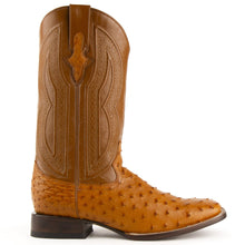 Load image into Gallery viewer, Ferrini Men&#39;s Colt Quill Ostrich Square Toe Boots 10193-02