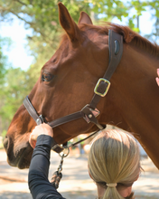 Load image into Gallery viewer, CorrectConnect Leather Magna Halter