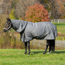 Load image into Gallery viewer, Equinavia Arktis Regular Neck Mid Weight Turnout Blanket 200g - Carbon Gray E24018