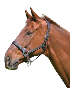 CorrectConnect Leather Magna Halter