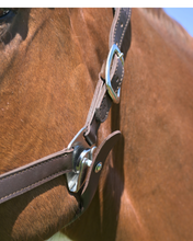 Load image into Gallery viewer, CorrectConnect Magna Halter in Blue with Fleece Noseband and Leather Breakaway