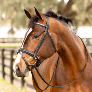 Equinavia Saga Dressage Crank Noseband Bridle & Reins - Black E10005