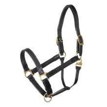Load image into Gallery viewer, Stubben Wrapped Stable Halter 10603