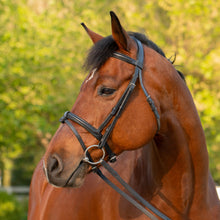 Load image into Gallery viewer, Equinavia Saga Padded Dressage Bridle &amp; Reins - Black E10006