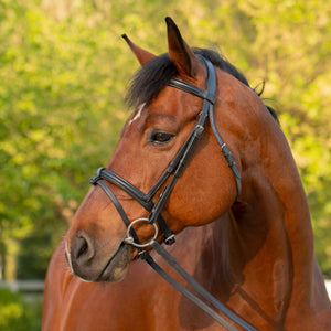 Equinavia Saga Padded Dressage Bridle & Reins - Black E10006