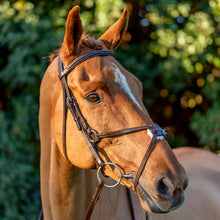 Load image into Gallery viewer, Equinavia Saga Fancy Stitched Figure 8 Bridle &amp; Reins - Chocolate Brown E10008