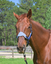 Load image into Gallery viewer, CorrectConnect Magna Halter in Blue with Fleece and Leather Breakaway