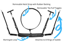 Load image into Gallery viewer, CorrectConnect 3-in-1 Training Breastplate