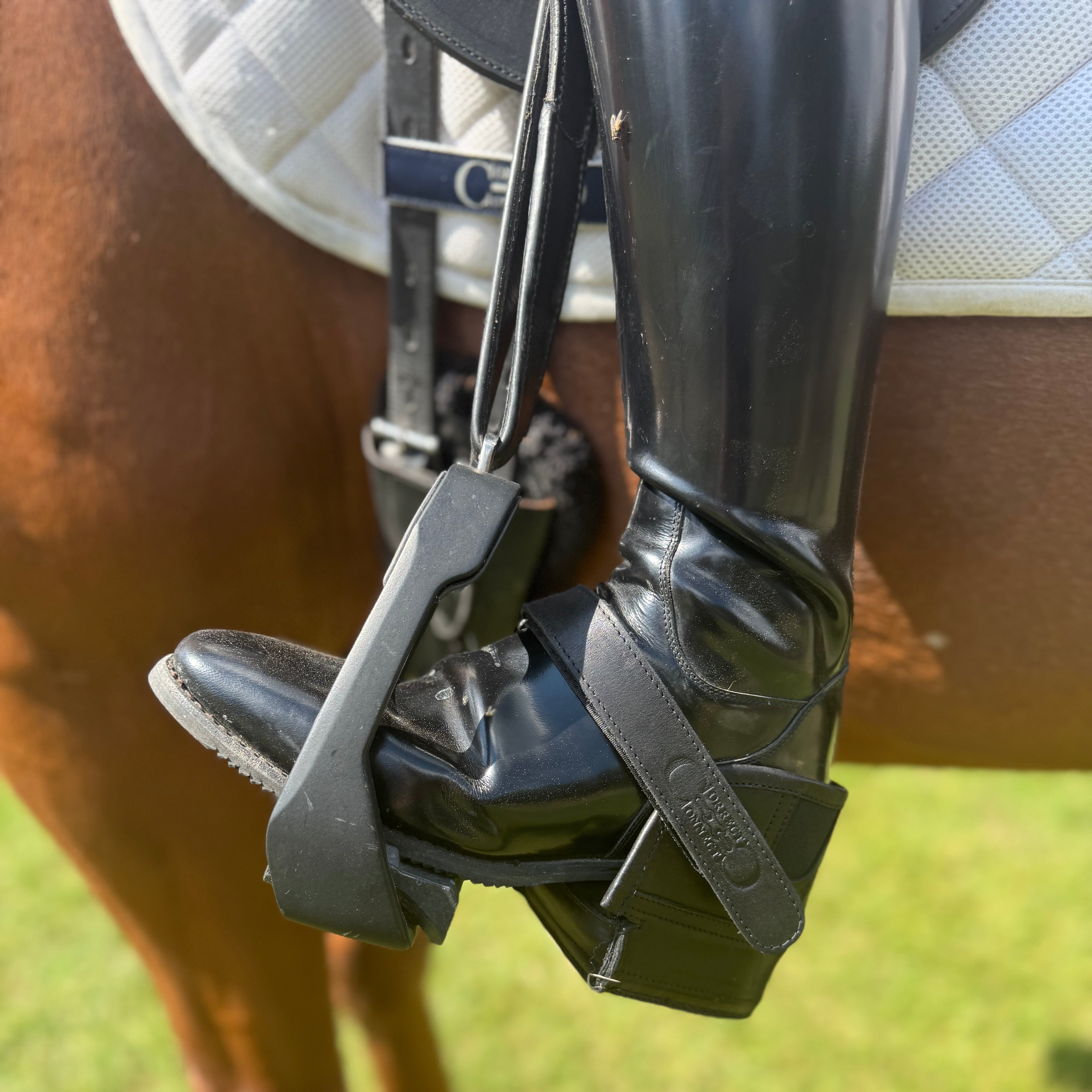 イクウェルグッズ　EQWEL Equisole EXternal-Weighted Training Aid for Equestrians