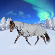 Load image into Gallery viewer, Equinavia Thunder 360 Detachable Neck Turnout Sheet - Pewter Gray E24011