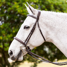 Load image into Gallery viewer, Equinavia Valkyrie Fancy Stitched Hunter Bridle &amp; Reins - Chocolate Brown E10003