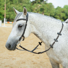 Load image into Gallery viewer, CorrectConnect Aaron Vale Rein with 3 Slim Hand Grips