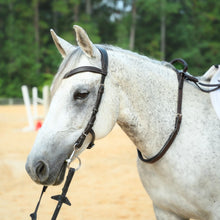 Load image into Gallery viewer, CorrectConnect Double Neck Strap Black