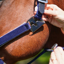 Load image into Gallery viewer, CorrectConnect Magna Halter in Blue with Fleece Noseband and Leather Breakaway