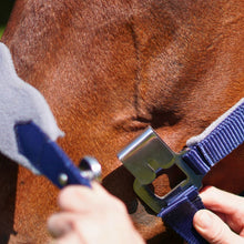 Load image into Gallery viewer, CorrectConnect Magna Halter in Blue with Fleece Noseband and Leather Breakaway