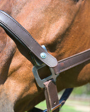 Load image into Gallery viewer, CorrectConnect Magna Halter in Blue with Fleece Noseband and Leather Breakaway