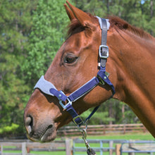 Load image into Gallery viewer, CorrectConnect Magna Halter in Blue with Fleece and Leather Breakaway
