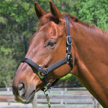 Load image into Gallery viewer, CorrectConnect Magna Halter  in Black With Leather Breakaway