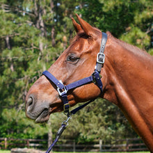 Load image into Gallery viewer, CorrectConnect Magna Halter in Blue with Leather Breakaway