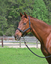 Load image into Gallery viewer, CorrectConnect Magna Halter  in Black With Leather Breakaway