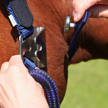 Load image into Gallery viewer, CorrectConnect Magna Halter in Blue with Leather Breakaway