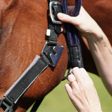 Load image into Gallery viewer, CorrectConnect Magna Halter ™ in Black with Fleece Noseband and Leather Breakaway