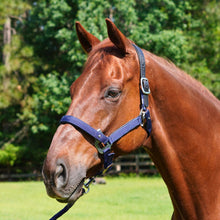 Load image into Gallery viewer, CorrectConnect Magna Halter in Blue with Leather Breakaway