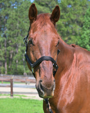 Load image into Gallery viewer, CorrectConnect Magna Halter  in Black With Leather Breakaway