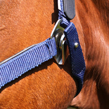 Load image into Gallery viewer, CorrectConnect Magna Halter in Blue with Leather Breakaway