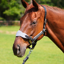 Load image into Gallery viewer, CorrectConnect Magna Halter ™ in Black with Fleece Noseband and Leather Breakaway