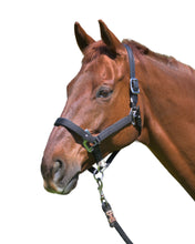 Load image into Gallery viewer, CorrectConnect Magna Halter  in Black With Leather Breakaway