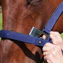 Load image into Gallery viewer, CorrectConnect Magna Halter in Blue with Leather Breakaway