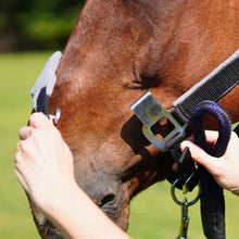 Load image into Gallery viewer, CorrectConnect Magna Halter ™ in Black with Fleece Noseband and Leather Breakaway